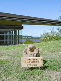 【鳥取】すべて徒歩圏内！鳥取砂丘といっしょに巡れるスポット3選🏜️💡 