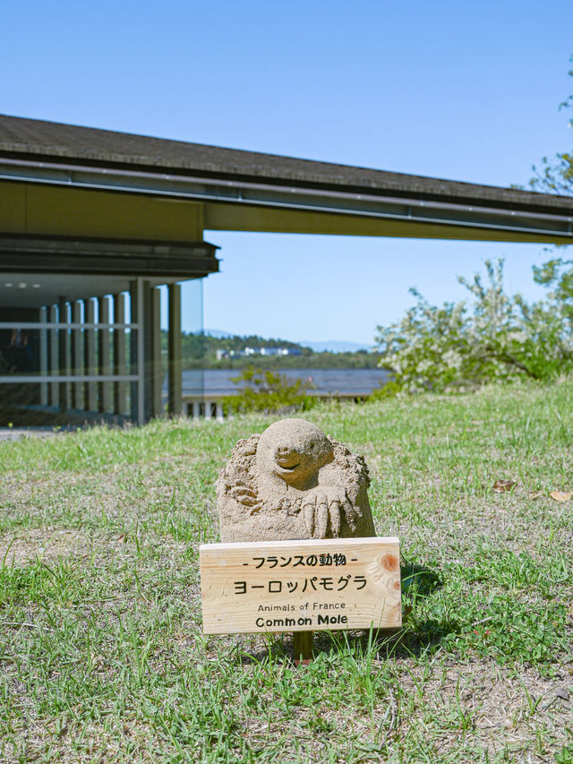 【鳥取】すべて徒歩圏内！鳥取砂丘といっしょに巡れるスポット3選🏜️💡 