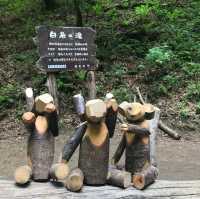【長野】マイナスイオンたっぷりの滝