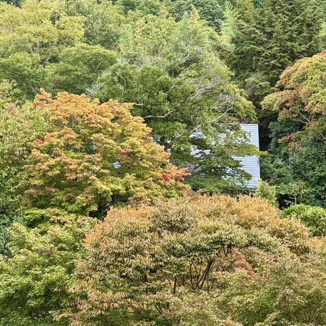 第一次去有馬溫泉