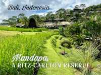 Top 5 ลักชูว์รีสอร์ทที่สุดใน Bali 🍂เป็นแบบนี้เอง