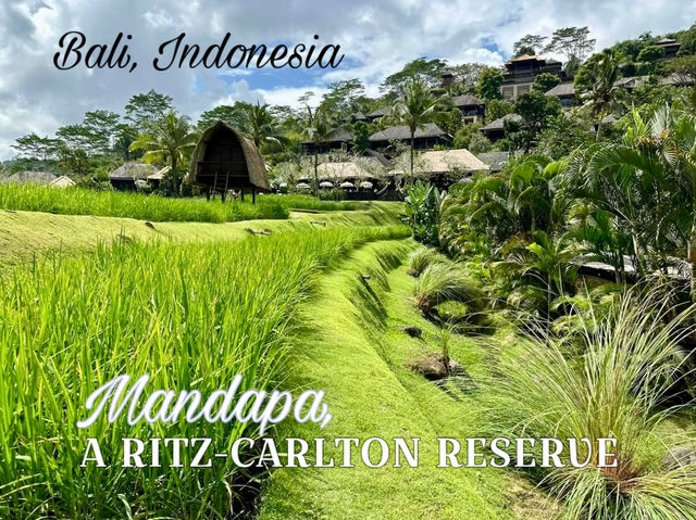 Top 5 ลักชูว์รีสอร์ทที่สุดใน Bali 🍂เป็นแบบนี้เอง