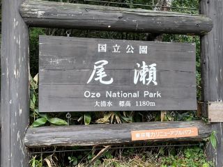 [Oze🏔️] Japan's largest mountain wetland!