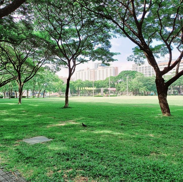 泰國曼谷著名校園景點:朱拉隆功大学，適合拍照📸打卡親子遊，曼谷市區非常值得一去的景點