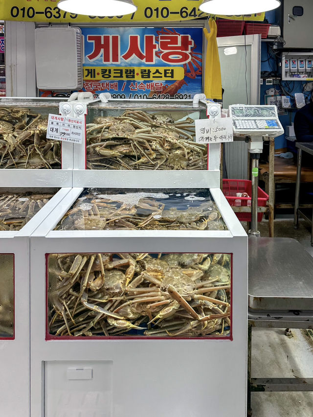 신선한 회를 먹고 싶다면 ‘여수수산시장’