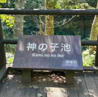 神の子池に来ました!!