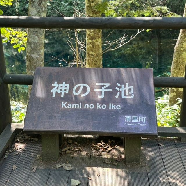 神の子池に来ました!!
