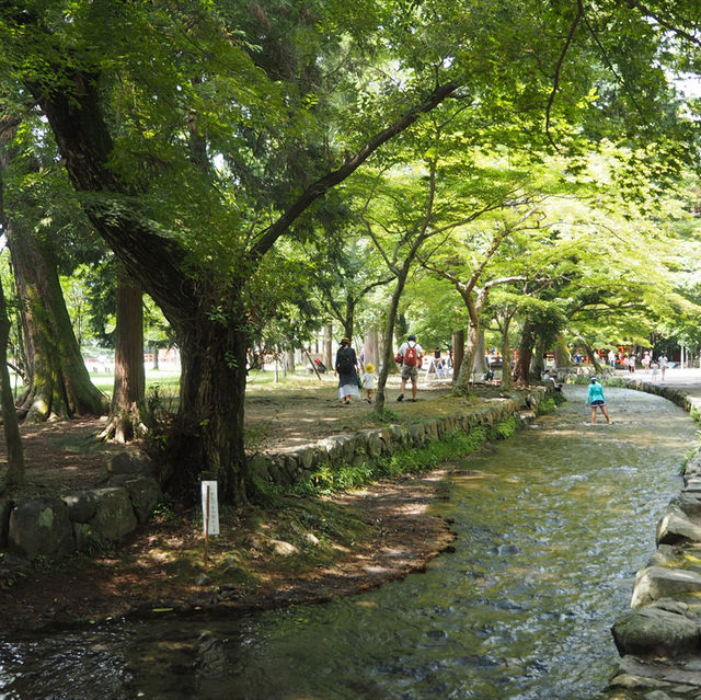 世界文化遺產系列～上賀茂神社