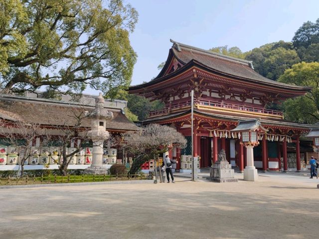 Dazaifu Tenmangu Fukuoka เที่ยววัดดาไซฟุ ฟุกุโอกะ