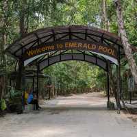 Emerald Pool in Krabi