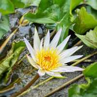 The Elegance of Ujung Water Palace