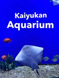 เที่ยว Kaiyukan Aquarium Osaka