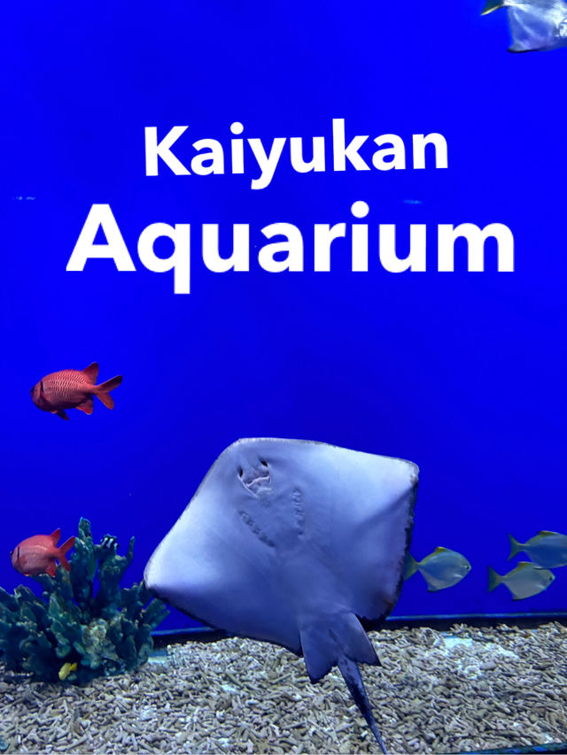 เที่ยว Kaiyukan Aquarium Osaka