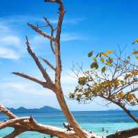  หมู่เกาะลิบงที่รัก✨🪸🌊
