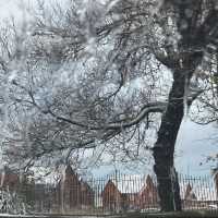Snow in Preston