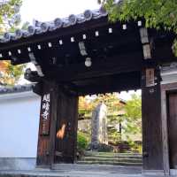 【善慧院:京都市東山区】