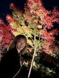 夜觀楓葉
