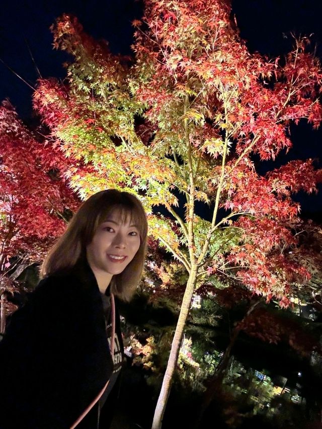 夜觀楓葉