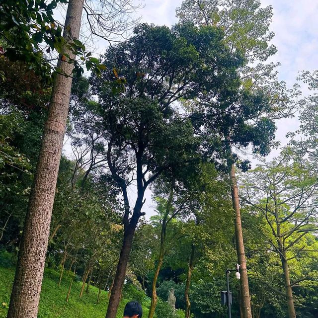 Baiyun Mountain