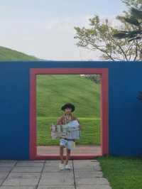 가을 꽃의 향연, 순천만정원