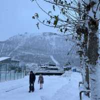 特羅姆瑟：雪國奇境的純白美景，遺憾的極光之約