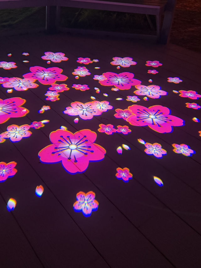 Light in the Garden แสงในสวนสวยครั้งแรกจันทบุรี