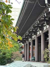 木造坐像で日本一大きい福岡大仏	