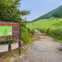 箱根の仙石原
