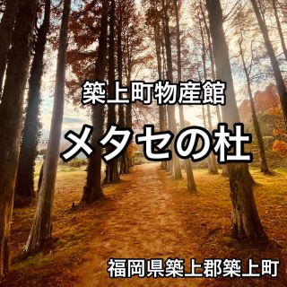 築上町物產館　梅塔謝之杜 隱藏的賞楓景點