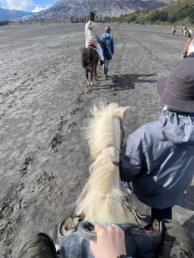 Conquer the Peaks: Outdoor Adventures at Mount Bromo