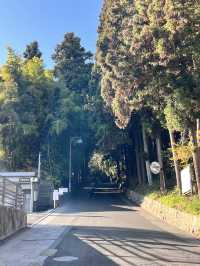 仙台景點 瑞鳳殿