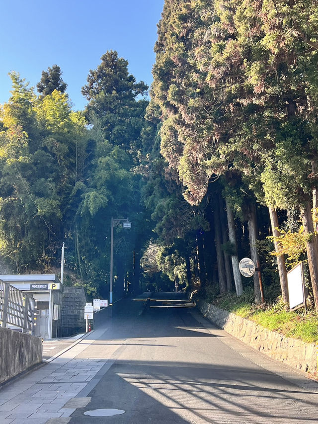 仙台景點 瑞鳳殿