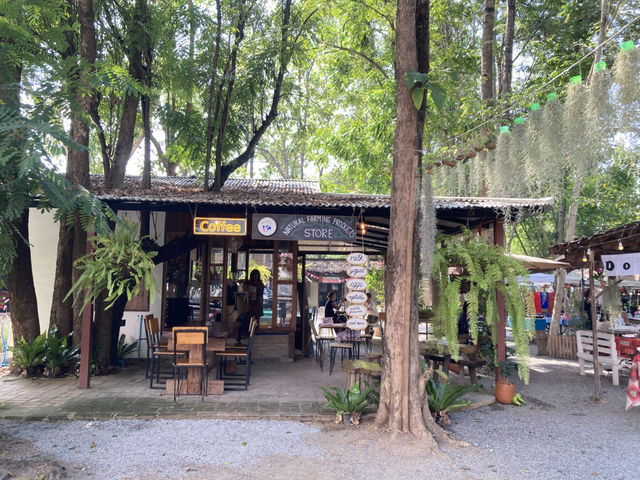 ตลาดสุดชิค “กาดต๋องตึง” เชียงใหม่