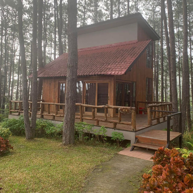 บ้านพักสวนป่าดอยบ่อหลวง