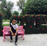 Amazing experience and my chilling adventure 