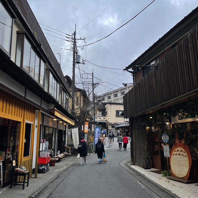 พาไปเช็กอินที่บ่อน้ำร้อน ♨️ Kusatsu Onsen ♨️