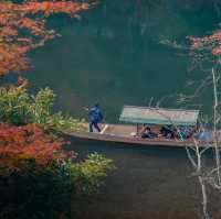 深秋紅葉下的嵐山公園