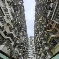 A Vibrant Journey Through Hong Kong