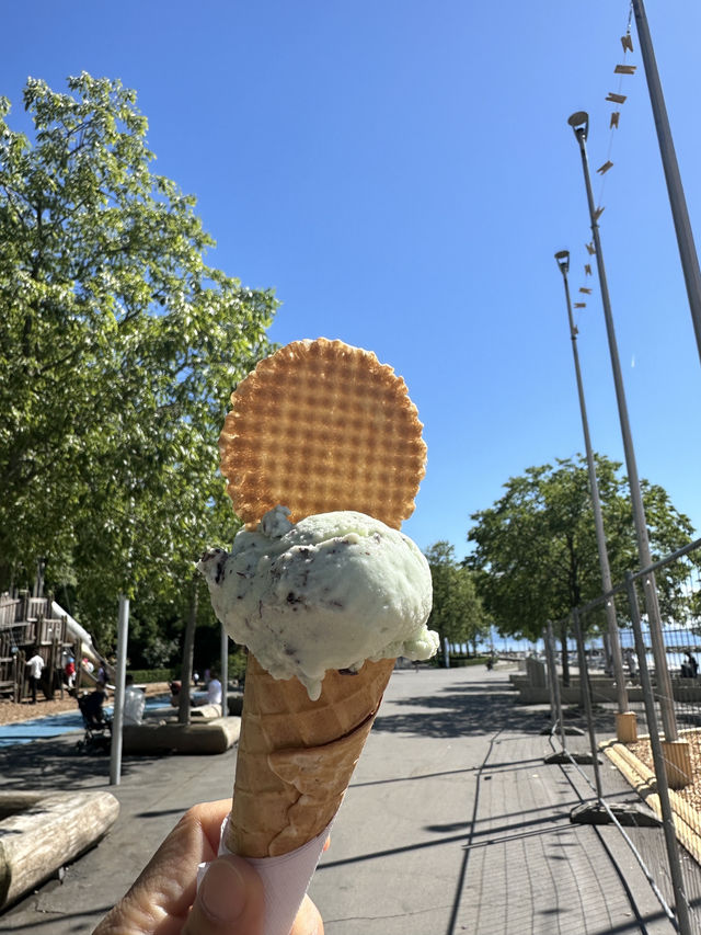 🇨🇭浸在洛桑湖畔悠閒中🚴湖畔踩單車享受謐靜