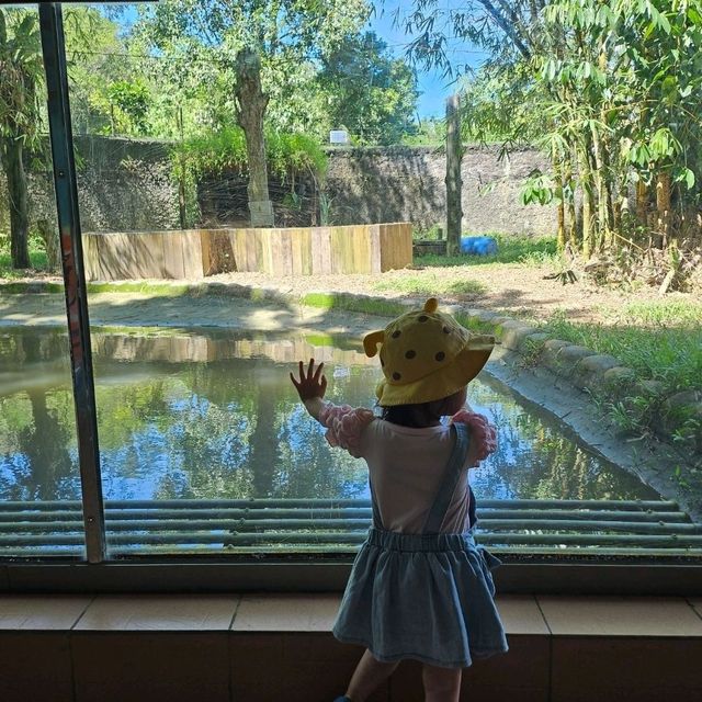 LOKAWI WILDLIFE PARK 