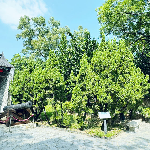 九龍寨城公園：歷史與自然的美好之旅 🌸🏞️ 