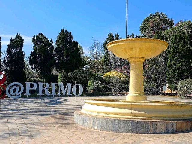 Primo Piazza พรีโม เพียซซ่า เที่ยวเขาใหญ่