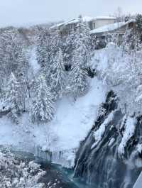 홋카이도 대표 관광지 코발트블루 흰수염폭포 ☃️💙