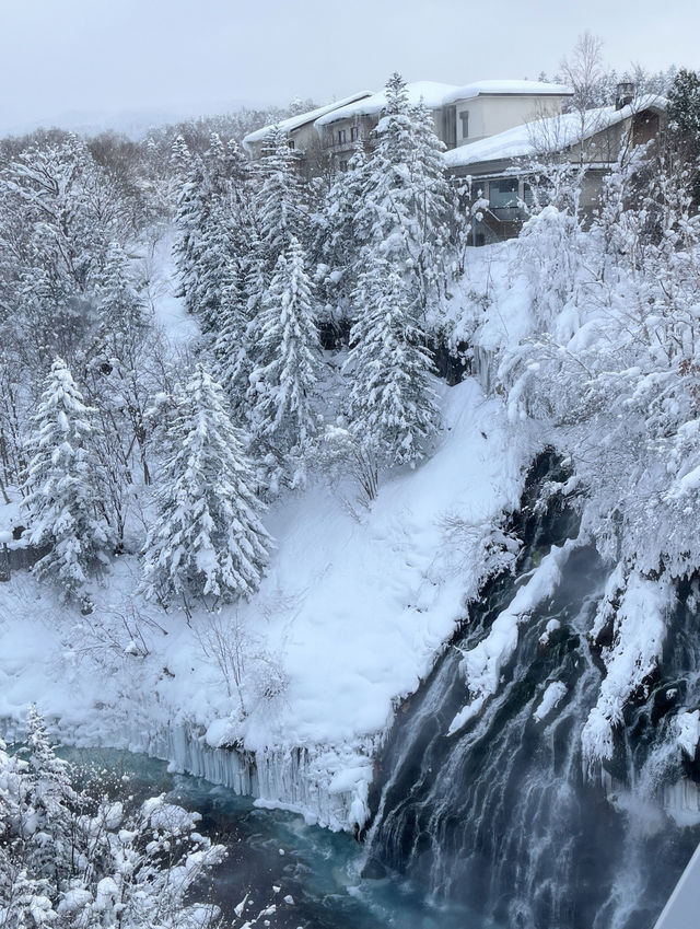 홋카이도 대표 관광지 코발트블루 흰수염폭포 ☃️💙