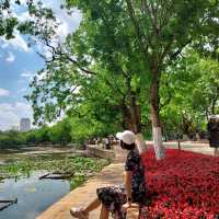 One Day @ Kunming