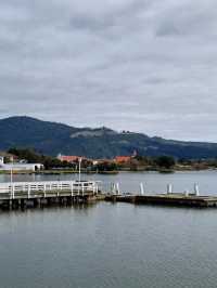 고요한 마을에서 마주한 로토루아 호수(Rotorua Lake)🇳🇿