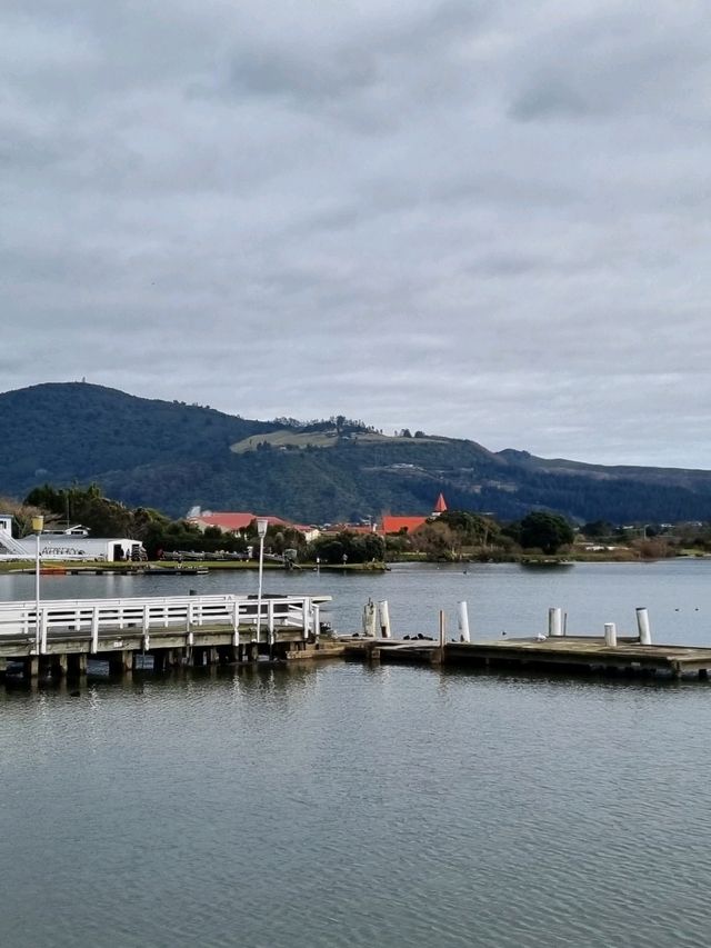 고요한 마을에서 마주한 로토루아 호수(Rotorua Lake)🇳🇿