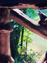 Into the Wild: My Adventure at Khao Sok National Park