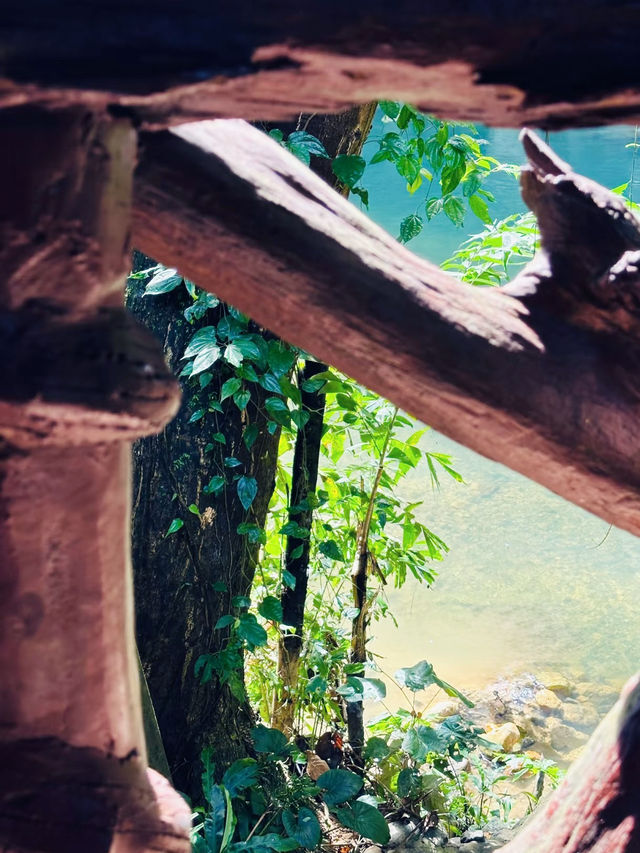 Into the Wild: My Adventure at Khao Sok National Park