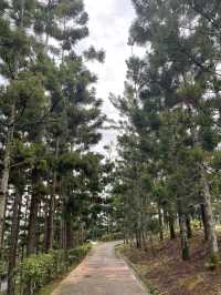 Taman Saujana Hijau: A Tranquil Escape Amidst Nature’s Beauty 🌳🌺